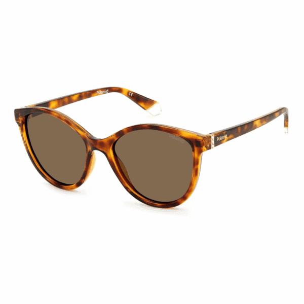 Polaroid Sonnenbrille PLD 6098/S, Pantos, braune polarisierte Verlaufsgläser, Unisex